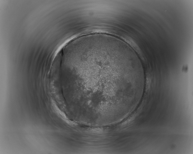 X0000112880798200908281636