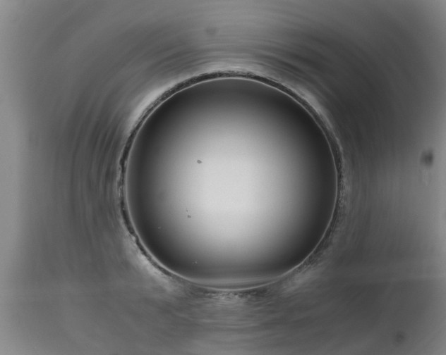 X0000112880799200908281636