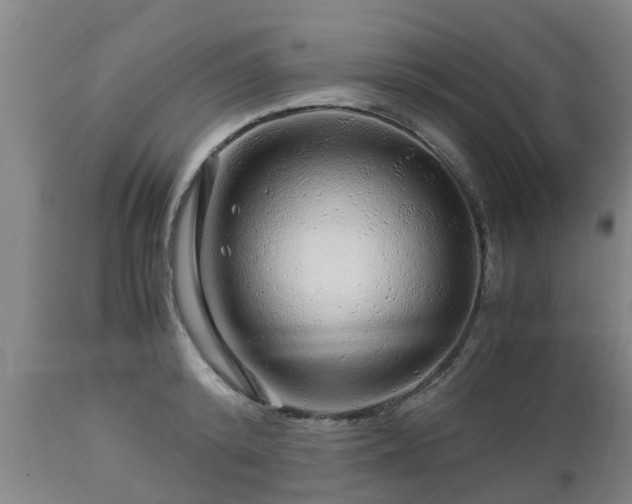 X0000112880800200908281636