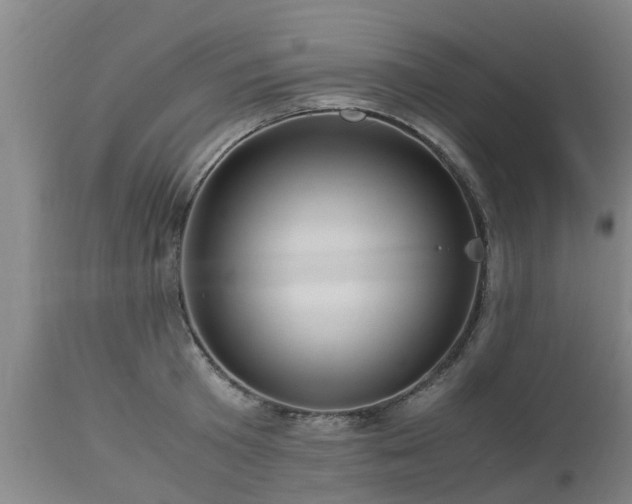 X0000112880801200908281636