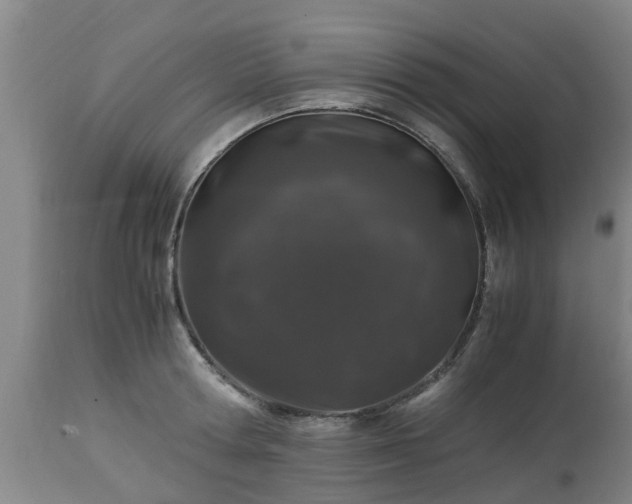 X0000112880802200908281636