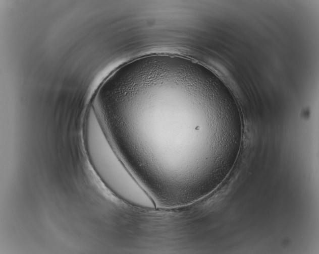 X0000112880804200908281636