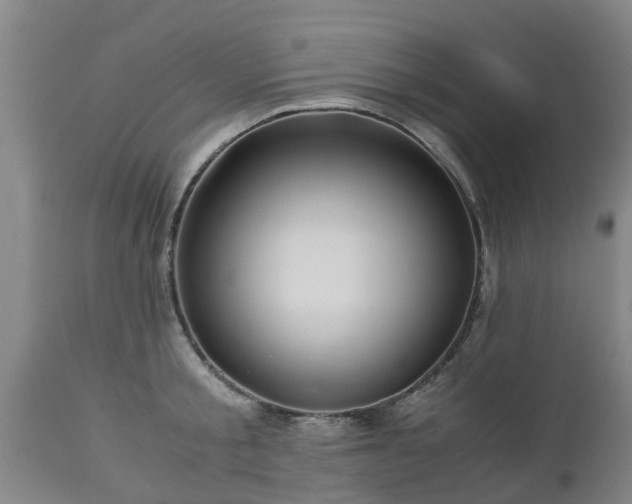 X0000112880805200908281636