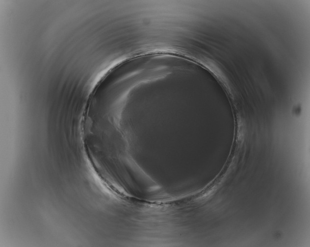 X0000112880806200908281636