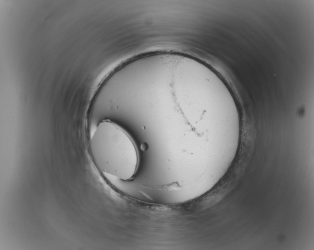 X0000112880807200908281636