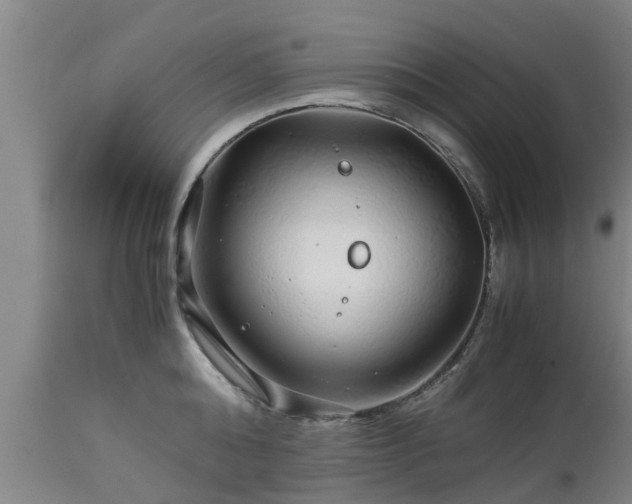 X0000112880808200908281636