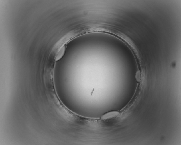 X0000112880809200908281636