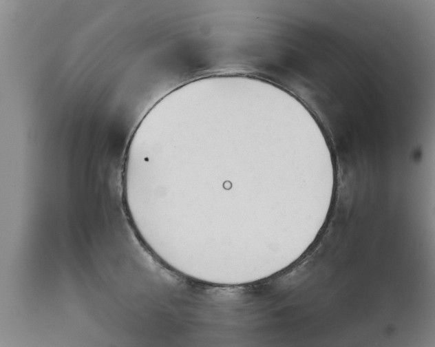 X0000112880810200908281636