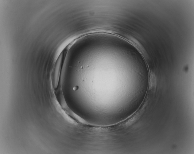 X0000112880812200908281636