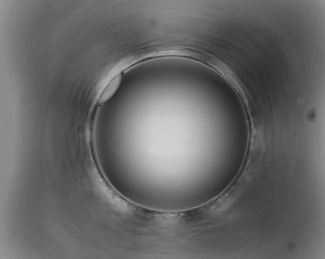 X0000112880813200908281636