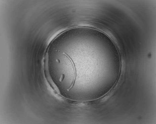 X0000112880814200908281636