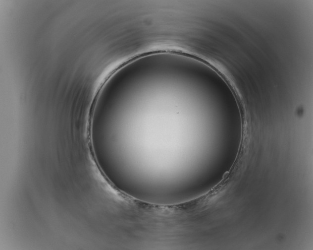 X0000112880815200908281636