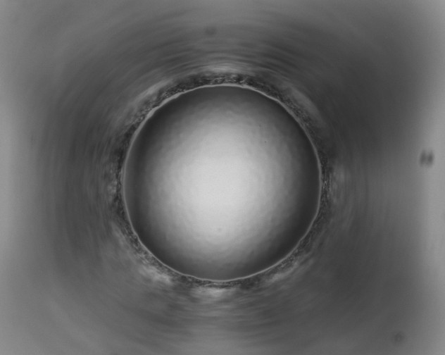 X0000112880821200908281635