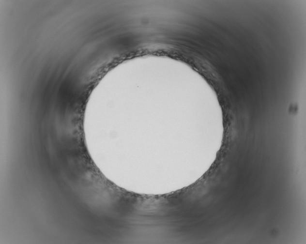 X0000112880824200908281635