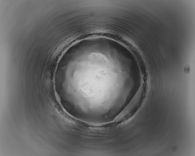 X0000112880825200908281635