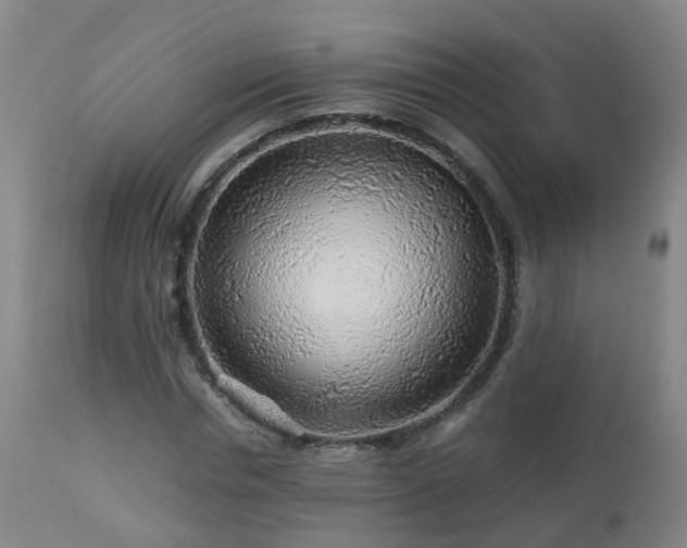 X0000112880826200908281635