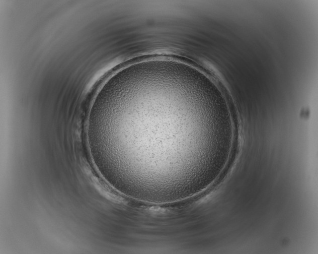 X0000112880827200908281635