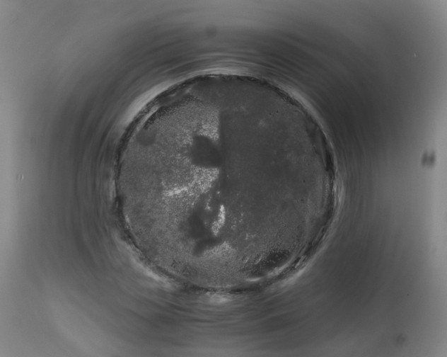 X0000112880829200908281635