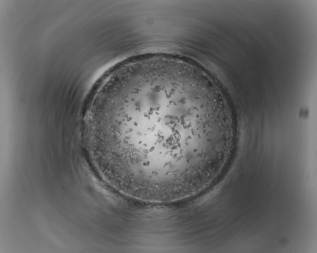 X0000112880830200908281635