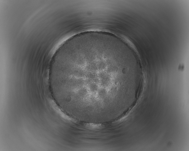 X0000112880831200908281635