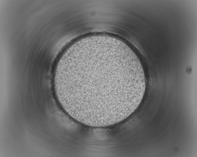 X0000112880832200908281635