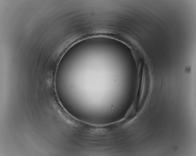 X0000112880833200908281635