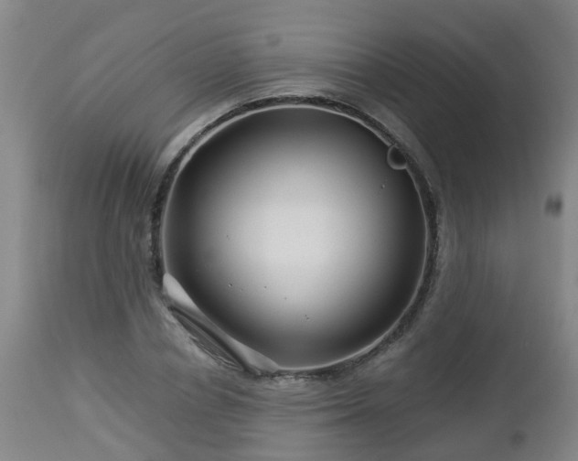 X0000112880834200908281635