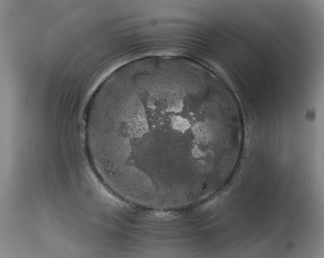 X0000112880835200908281635