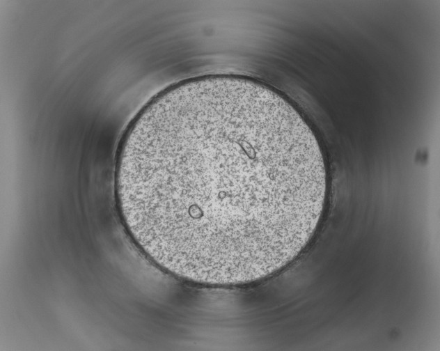 X0000112880836200908281635