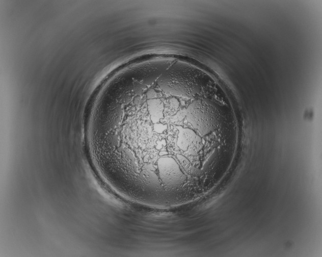 X0000112880837200908281635