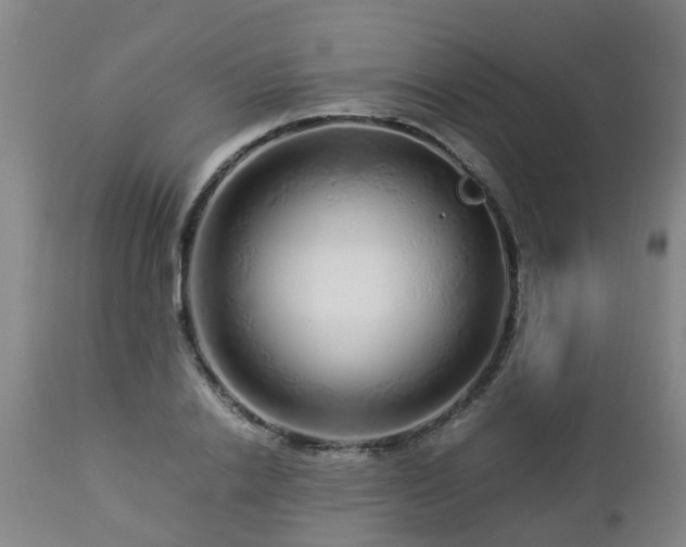 X0000112880838200908281635