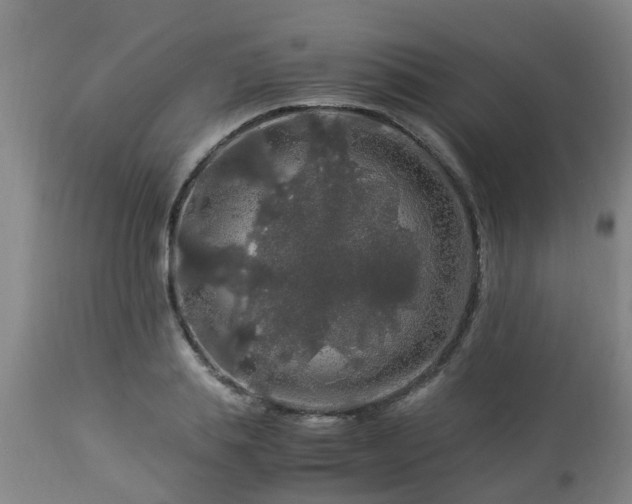 X0000112880839200908281635