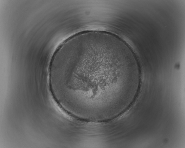 X0000112880840200908281635