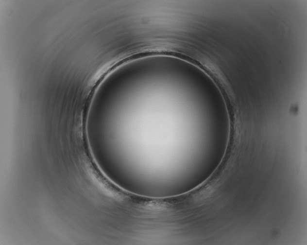 X0000112880842200908281635