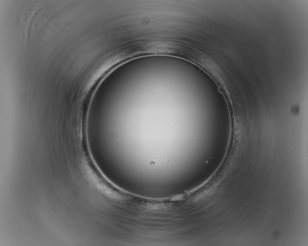 X0000112880843200908281635