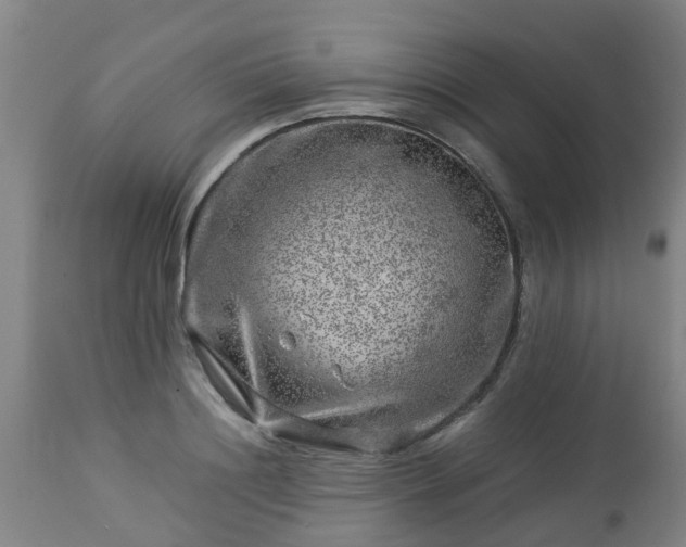 X0000112880844200908281635