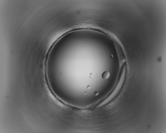 X0000112880847200908281635