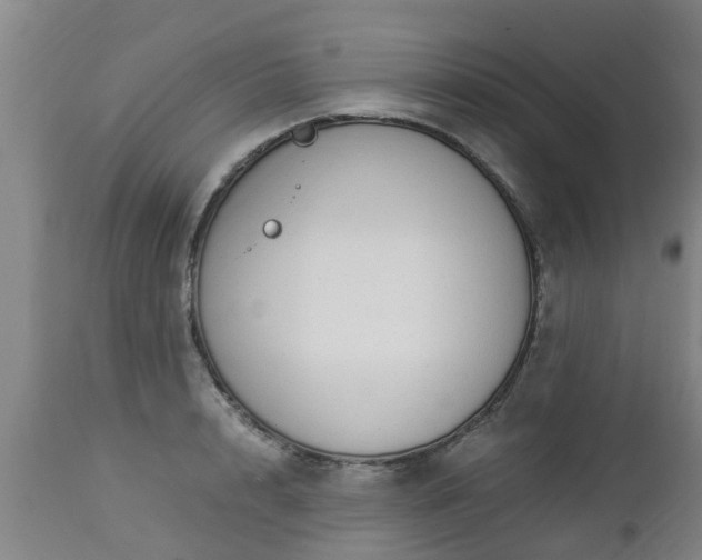 X0000112880848200908281635