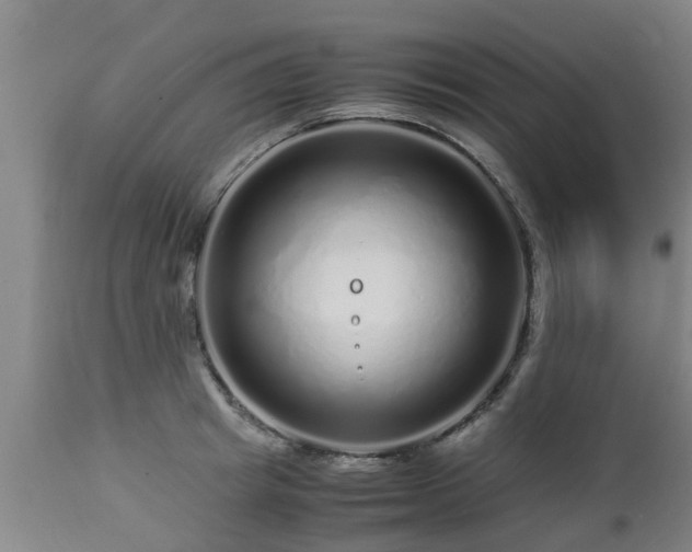 X0000112880849200908281635