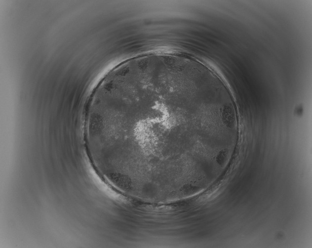 X0000112880851200908281635