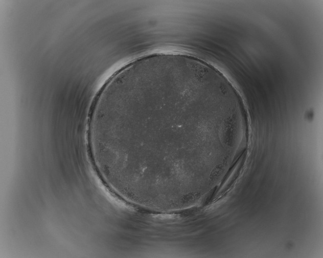 X0000112880853200908281635