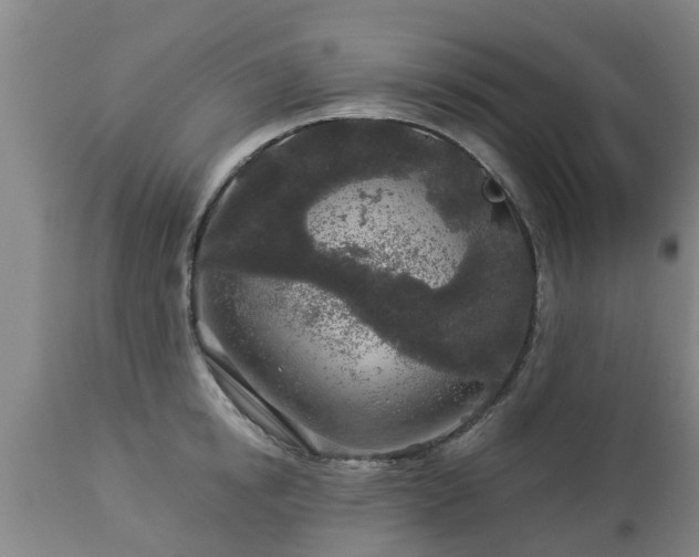 X0000112880854200908281635