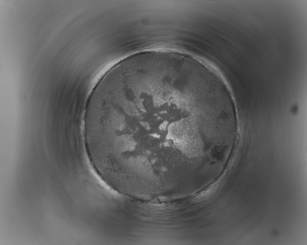 X0000112880855200908281635