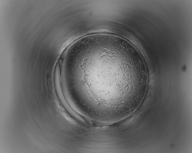 X0000112880858200908281636