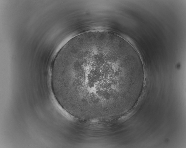 X0000112880859200908281636