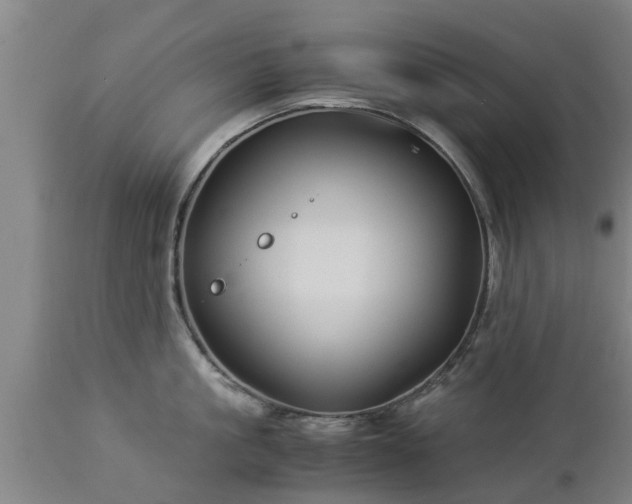 X0000112880861200908281636