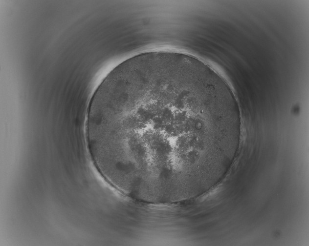 X0000112880863200908281636