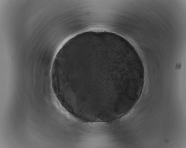 X0000112880864200908281636