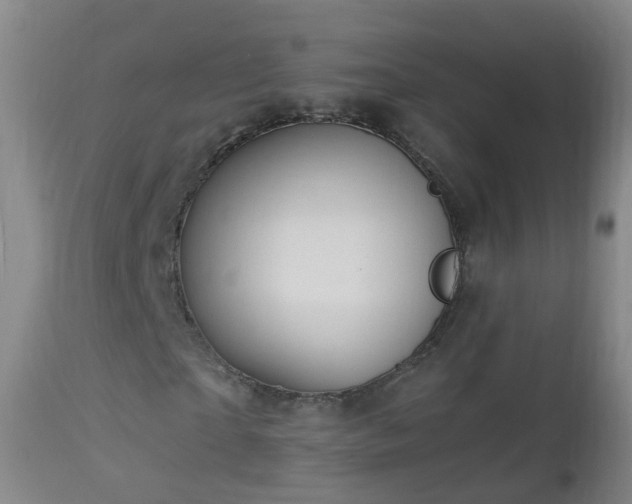 X0000112880865200908281635