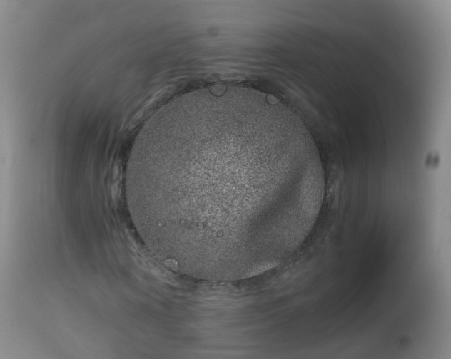 X0000112880866200908281635